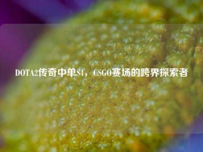 DOTA2传奇中单S4，CSGO赛场的跨界探索者