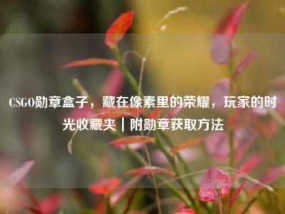 CSGO勋章盒子，藏在像素里的荣耀，玩家的时光收藏夹｜附勋章获取方法