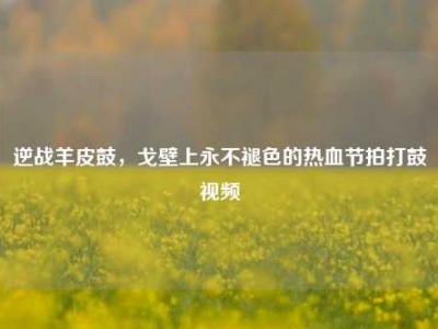 逆战羊皮鼓，戈壁上永不褪色的热血节拍打鼓视频