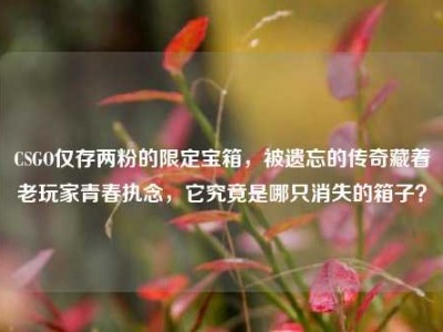 CSGO仅存两粉的限定宝箱，被遗忘的传奇藏着老玩家青春执念，它究竟是哪只消失的箱子？