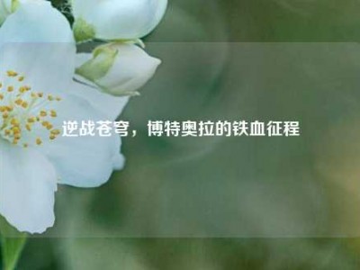 逆战苍穹，博特奥拉的铁血征程