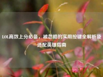 LOL高效上分必备，被忽略的实用按键全解析及适配英雄指南