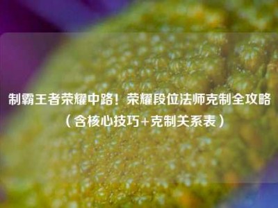 制霸王者荣耀中路！荣耀段位法师克制全攻略（含核心技巧+克制关系表）