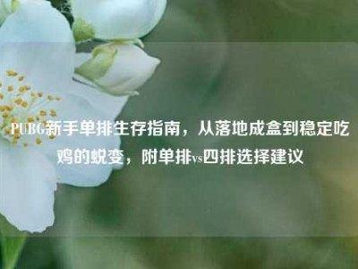 PUBG新手单排生存指南，从落地成盒到稳定吃鸡的蜕变，附单排vs四排选择建议
