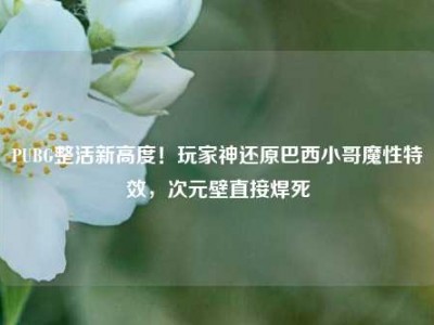 PUBG整活新高度！玩家神还原巴西小哥魔性特效，次元壁直接焊死