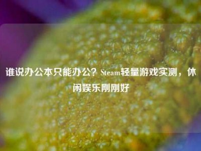谁说办公本只能办公？Steam轻量游戏实测，休闲娱乐刚刚好