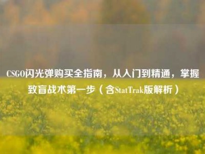 CSGO闪光弹购买全指南，从入门到精通，掌握致盲战术第一步（含StatTrak版解析）