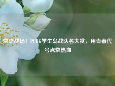 燃炸战场！PUBG学生岛战队名大赏，用青春代号点燃热血