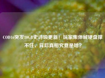 COD16突发80GB史诗级更新！玩家集体喊硬盘撑不住，背后真相究竟是啥？