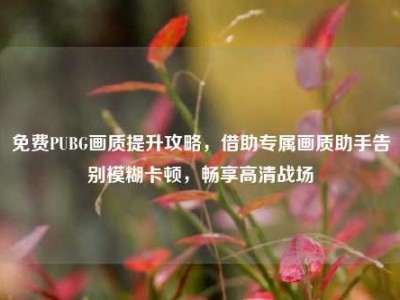 免费PUBG画质提升攻略，借助专属画质助手告别模糊卡顿，畅享高清战场