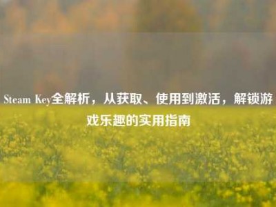Steam Key全解析，从获取、使用到激活，解锁游戏乐趣的实用指南