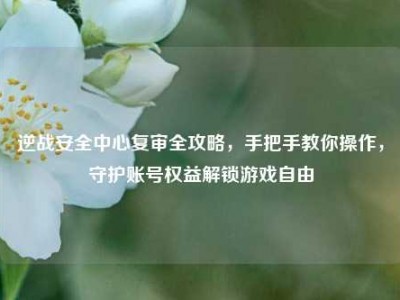 逆战安全中心复审全攻略，手把手教你操作，守护账号权益解锁游戏自由