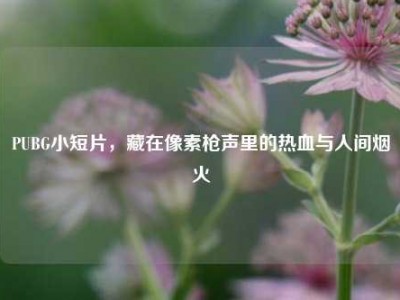 PUBG小短片，藏在像素枪声里的热血与人间烟火