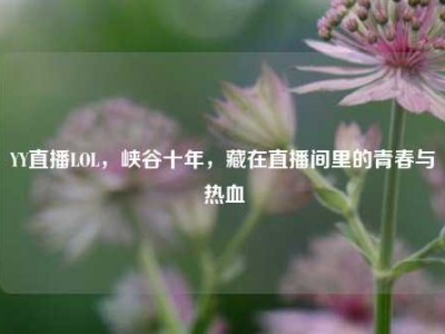 YY直播LOL，峡谷十年，藏在直播间里的青春与热血