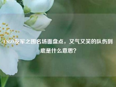 CSGO友军之围名场面盘点，又气又笑的队伤到底是什么意思？