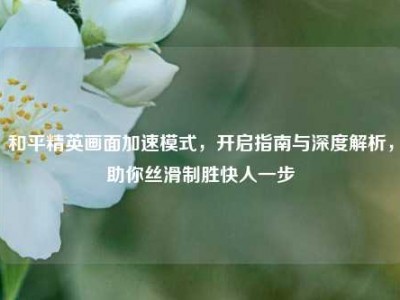 和平精英画面加速模式，开启指南与深度解析，助你丝滑制胜快人一步
