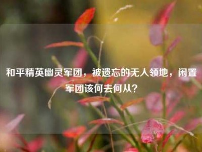 和平精英幽灵军团，被遗忘的无人领地，闲置军团该何去何从？