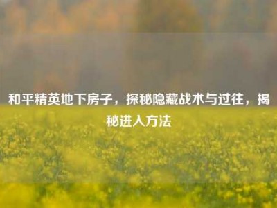 和平精英地下房子，探秘隐藏战术与过往，揭秘进入方法