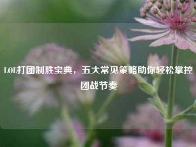 LOL打团制胜宝典，五大常见策略助你轻松掌控团战节奏
