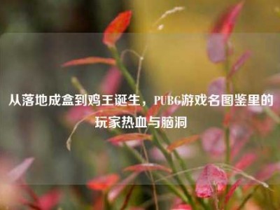 从落地成盒到鸡王诞生，PUBG游戏名图鉴里的玩家热血与脑洞