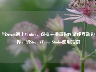 当Steam遇上VTuber，虚拟主播重构PC游戏互动边界，附SteamVTuber Studio使用指南