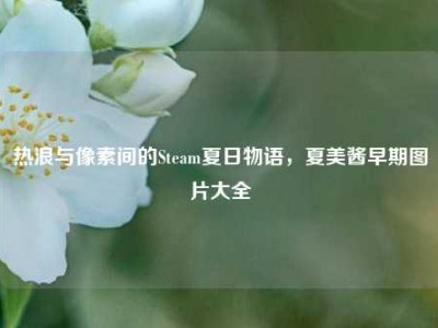 热浪与像素间的Steam夏日物语，夏美酱早期图片大全