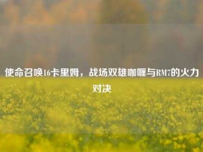 使命召唤16卡里姆，战场双雄咖喱与RM7的火力对决