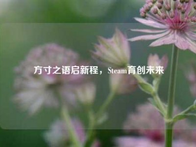 方寸之语启新程，Steam育创未来