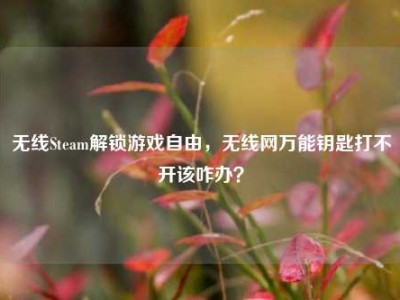 无线Steam解锁游戏自由，无线网万能钥匙打不开该咋办？