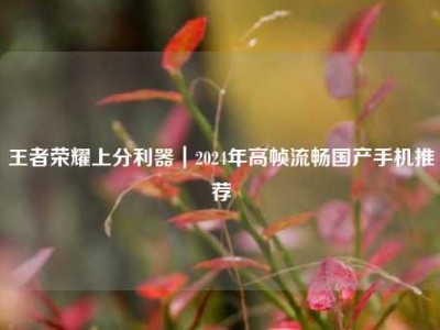 王者荣耀上分利器｜2024年高帧流畅国产手机推荐