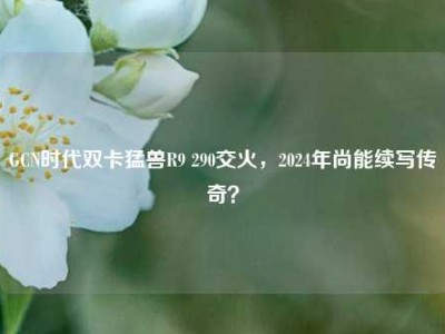 GCN时代双卡猛兽R9 290交火，2024年尚能续写传奇？