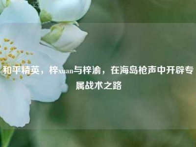 和平精英，梓xuan与梓渝，在海岛枪声中开辟专属战术之路