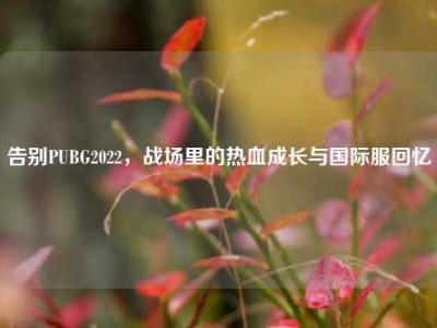 告别PUBG2022，战场里的热血成长与国际服回忆
