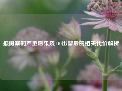 报假案的严重后果及110出警后的相关代价解析