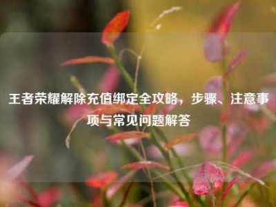 王者荣耀解除充值绑定全攻略，步骤、注意事项与常见问题解答