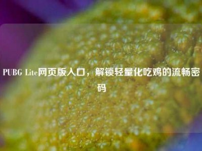 PUBG Lite网页版入口，解锁轻量化吃鸡的流畅密码