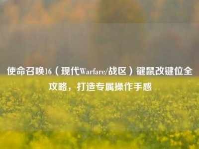 使命召唤16（现代Warfare/战区）键鼠改键位全攻略，打造专属操作手感