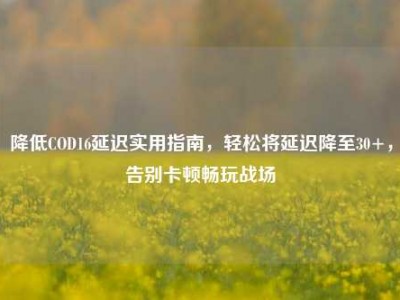 降低COD16延迟实用指南，轻松将延迟降至30+，告别卡顿畅玩战场