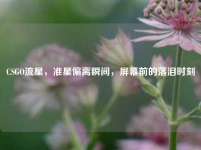 CSGO流星，准星偏离瞬间，屏幕前的落泪时刻