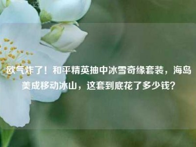 欧气炸了！和平精英抽中冰雪奇缘套装，海岛美成移动冰山，这套到底花了多少钱？