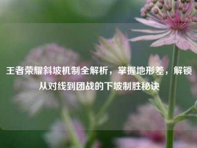 王者荣耀斜坡机制全解析，掌握地形差，解锁从对线到团战的下坡制胜秘诀