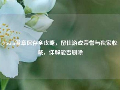 Steam徽章保存全攻略，留住游戏荣誉与独家收藏，详解能否删除