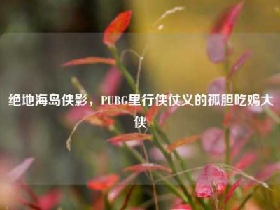 绝地海岛侠影，PUBG里行侠仗义的孤胆吃鸡大侠