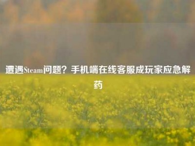 遭遇Steam问题？手机端在线客服成玩家应急解药