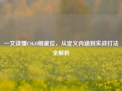 一文读懂CSGO明星位，从定义内涵到实战打法全解析