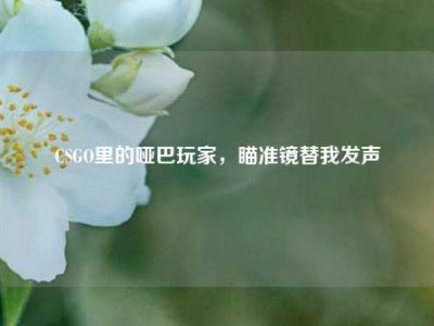 CSGO里的哑巴玩家，瞄准镜替我发声
