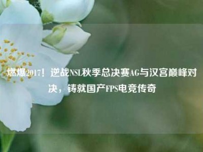 燃爆2017！逆战NSL秋季总决赛AG与汉宫巅峰对决，铸就国产FPS电竞传奇