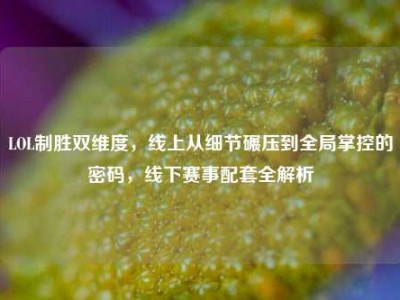 LOL制胜双维度，线上从细节碾压到全局掌控的密码，线下赛事配套全解析