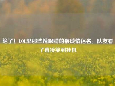 绝了！LOL里那些辣眼睛的猥琐情侣名，队友看了直接笑到挂机