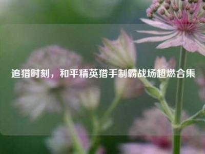 追猎时刻，和平精英猎手制霸战场超燃合集